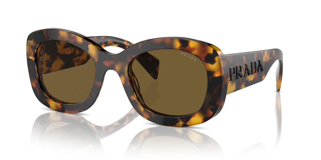 VAU01T - Tortoise - Dark Brown