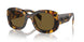 VAU01T - Tortoise - Dark Brown