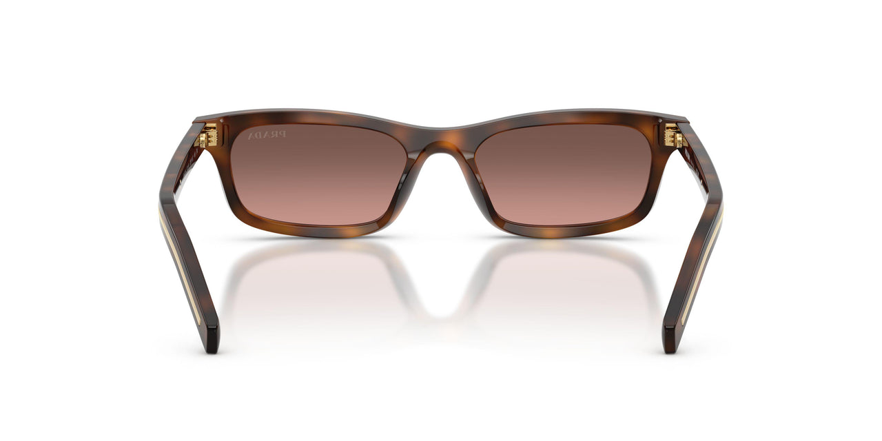 20D11C - Tortoise - Brown Gradient Grey