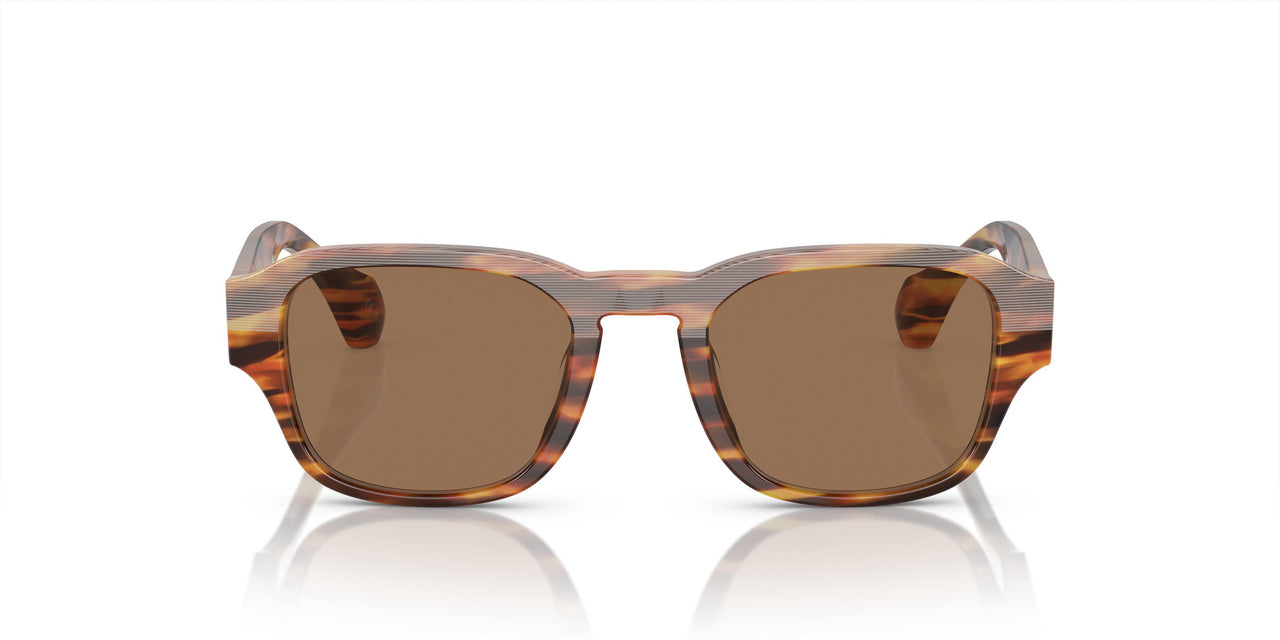 002/83 - Brown - Polar Brown