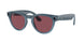 Ray-Ban Meta Headliner 4009 Sunglasses