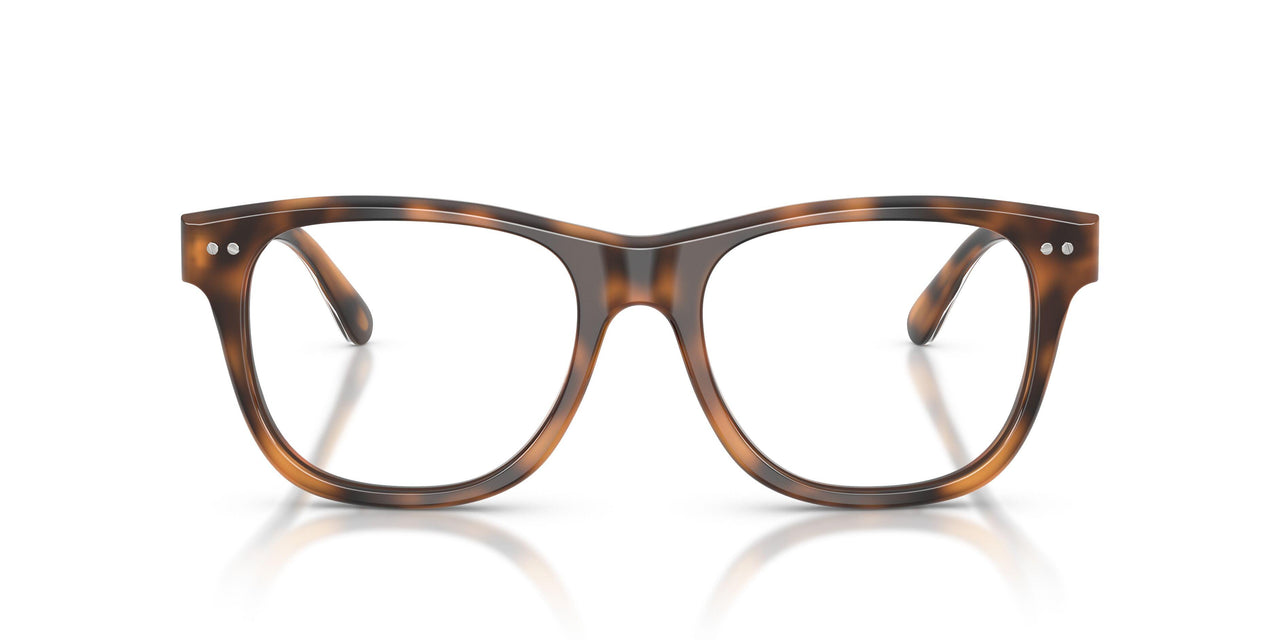 6089 - Tortoise