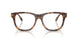 6089 - Tortoise