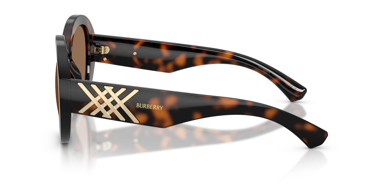 300273 - Tortoise - Brown