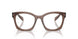 17O1O1 - Brown