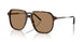 3002M4 - Tortoise - Brown Solid