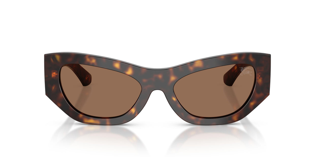 300273 - Brown - Dark Brown