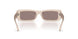 50257N - Brown - Purple Brown Mirror Silver