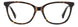 Polaroid Core PLDD560 Eyeglasses