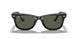 902/58 - Tortoise - Crystal Green Polarized