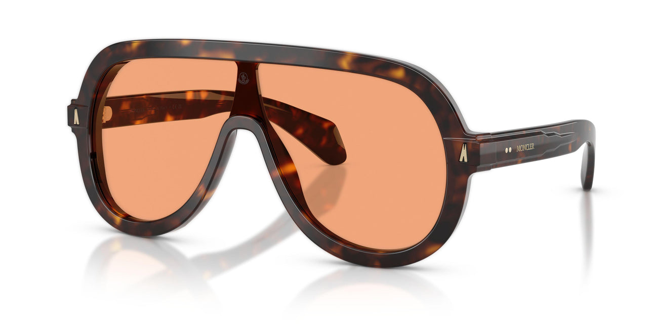 300274 - Tortoise - Solid Orange