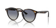 710/4L - Tortoise - Light Grey Gradient Dark Blue / 49
