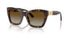 5002T5 - Tortoise - Polar Gradient Brown