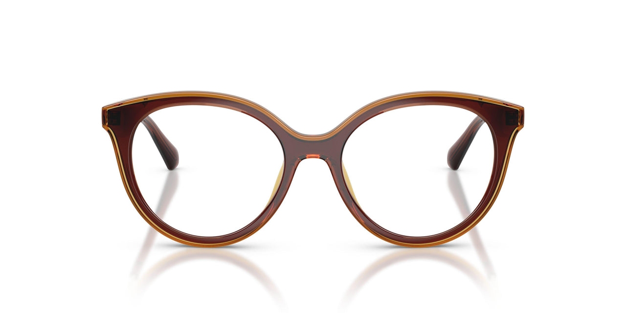 3113 - Brown