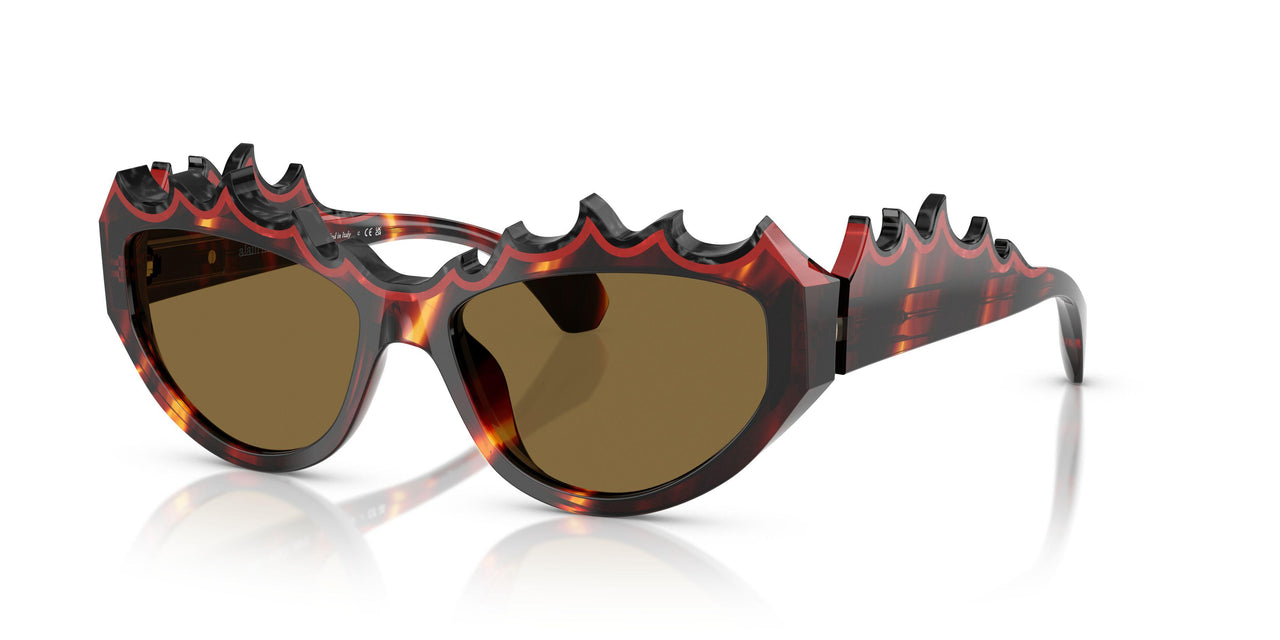 003/73 - Tortoise - Brown