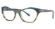 Brown - Teal/brn Fade