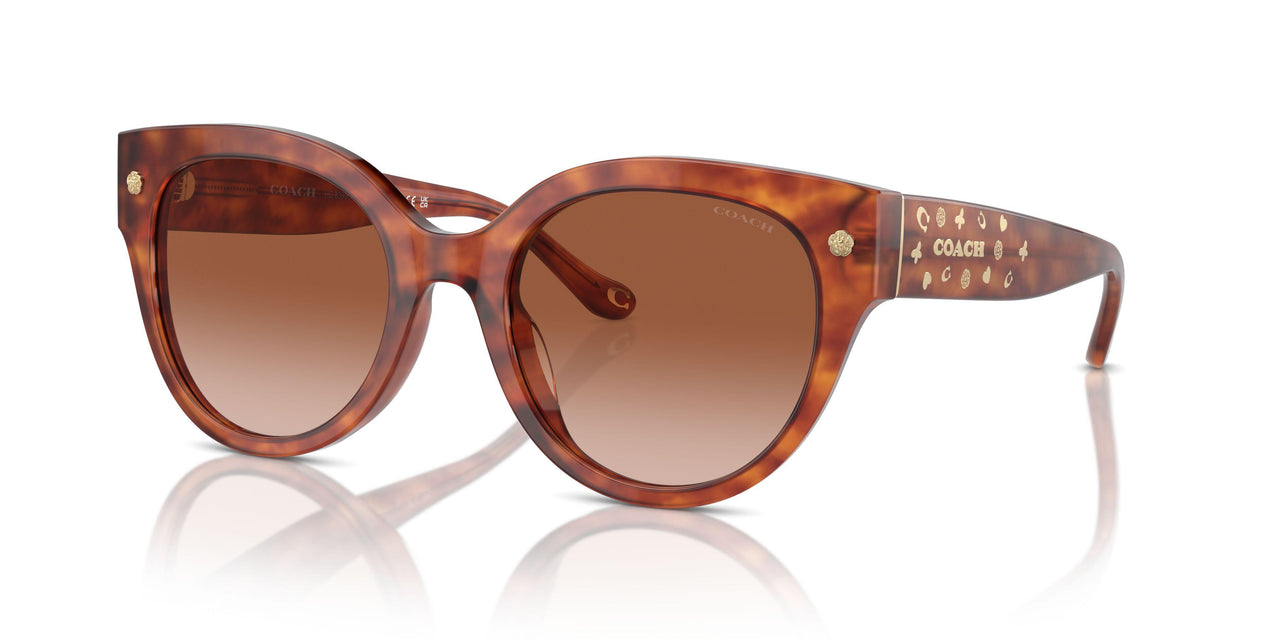 577413 - Tortoise - Brown Gradient