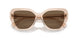 19541A - Brown - Violet