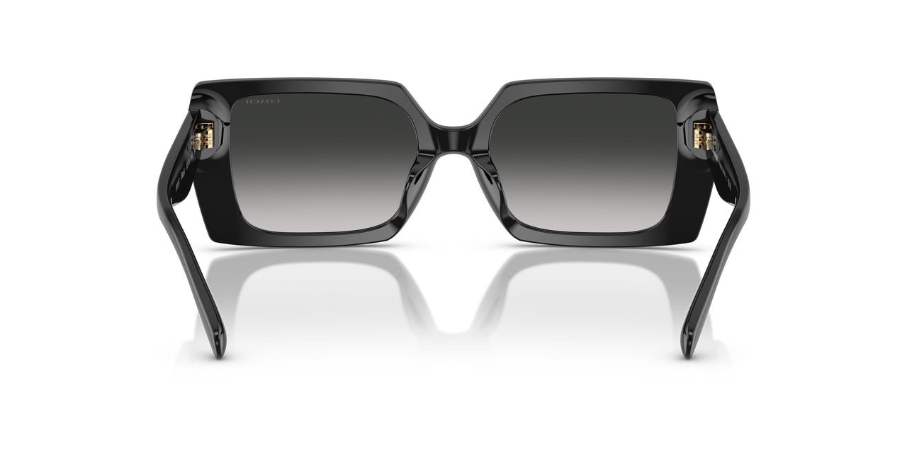 50023C - Black - Grey Gradient