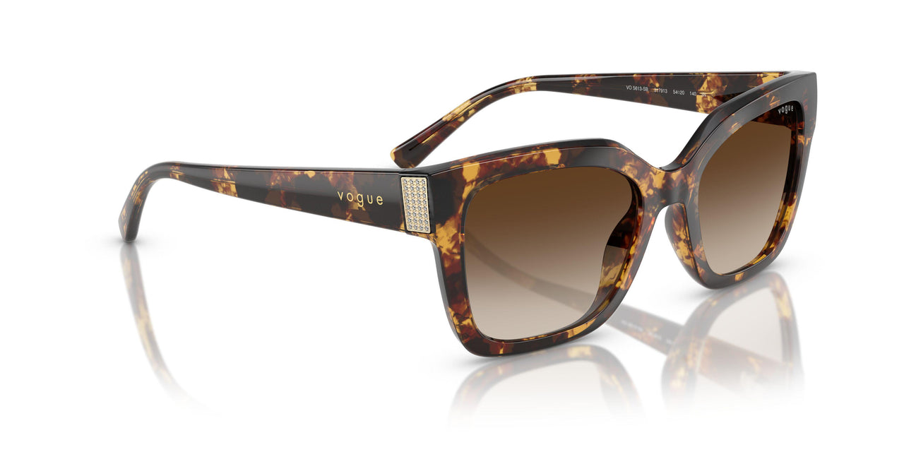 317913 - Tortoise - Gradient Brown