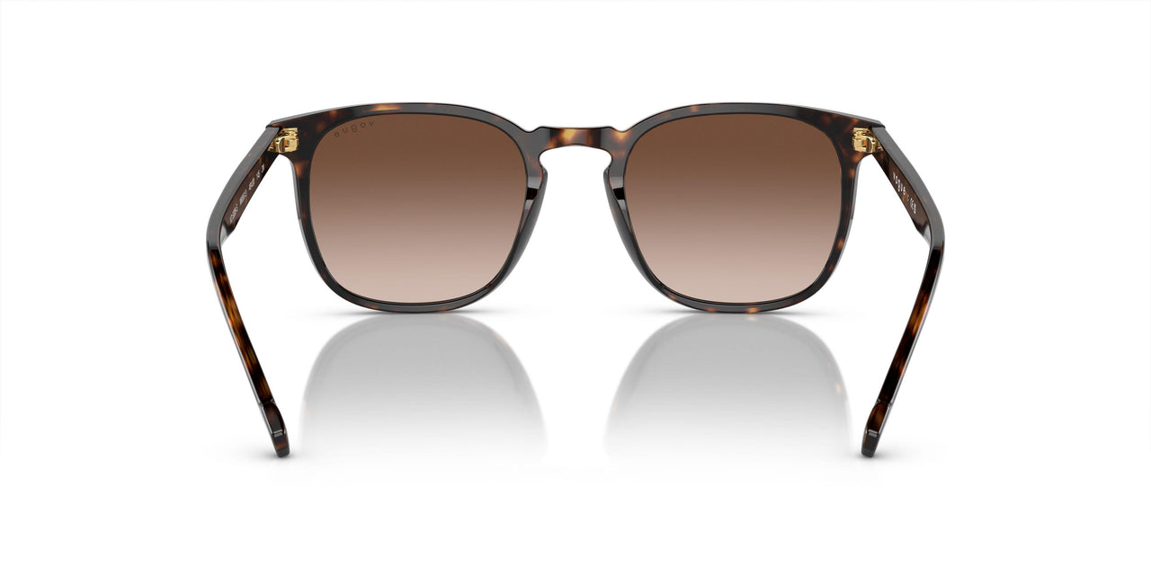 W65613 - Havana - Brown Gradient