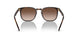 W65613 - Havana - Brown Gradient