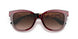 388/13 - Bordeaux - Brown Gradient