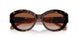 300613 - Tortoise - Brown Gradient