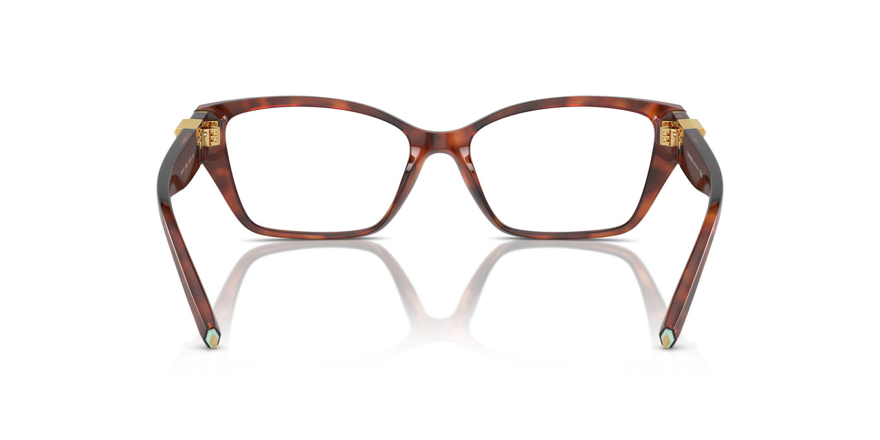 8002 - Tortoise