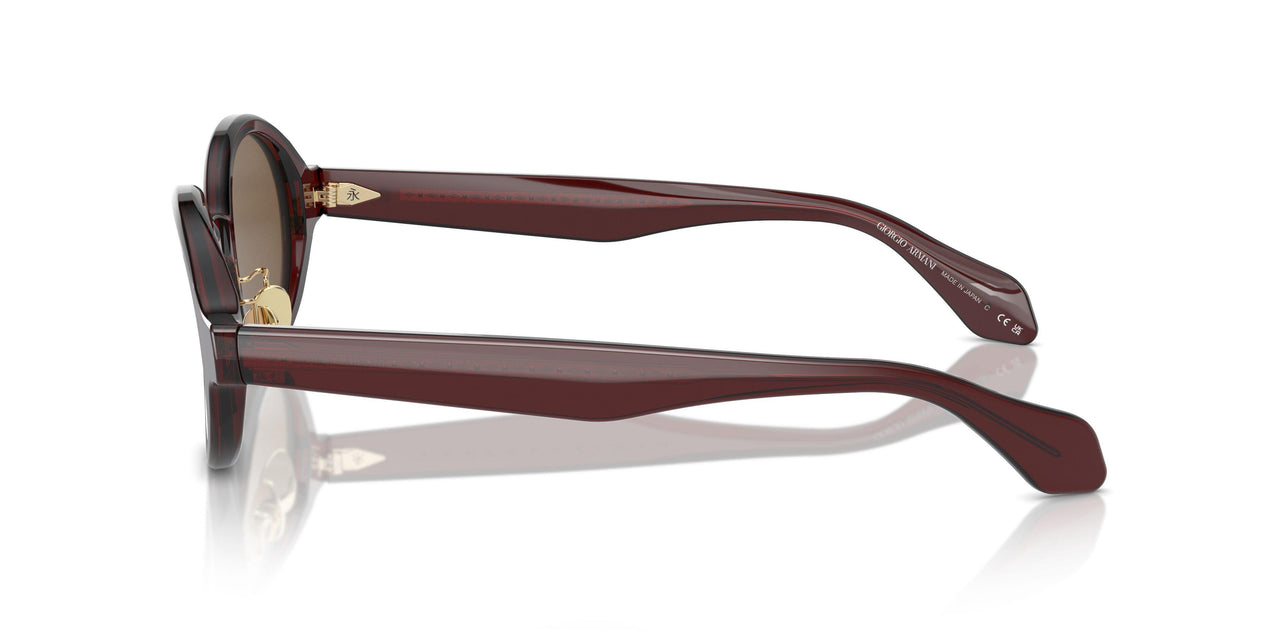 606273 - Brown - Dark Brown
