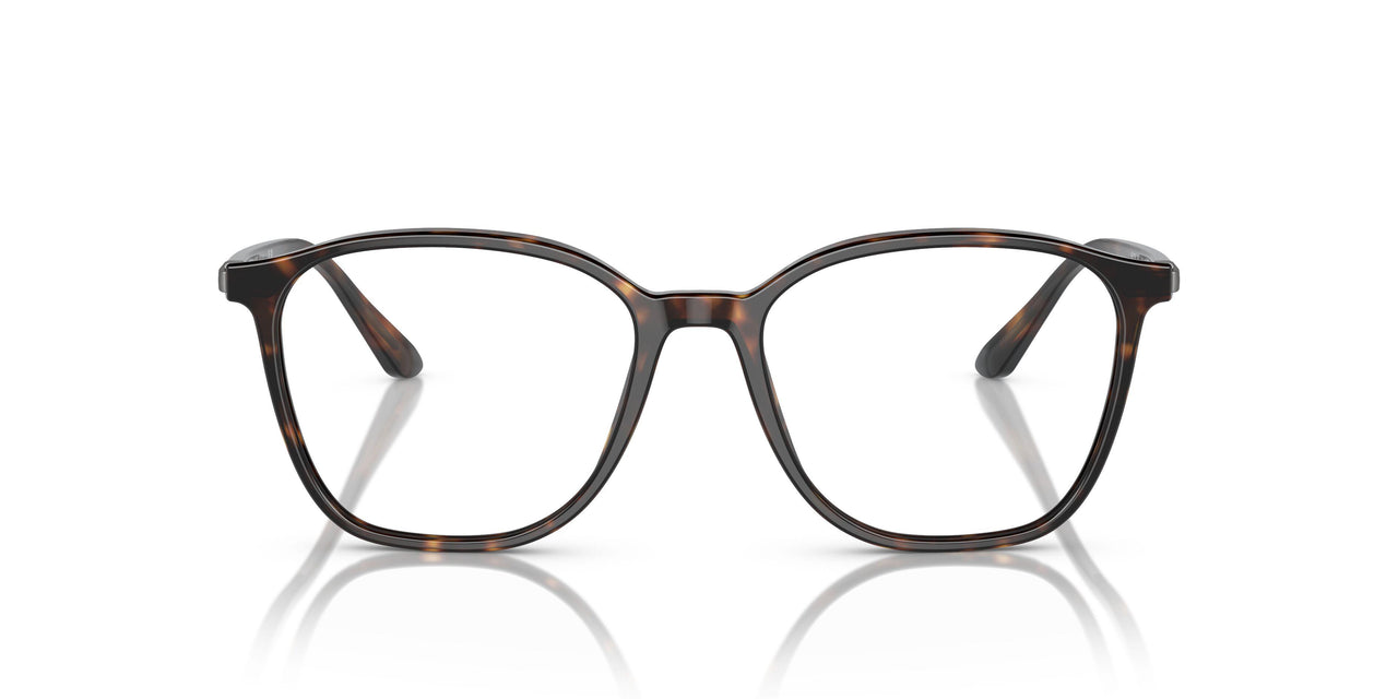 5026 - Tortoise
