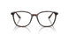 5026 - Tortoise