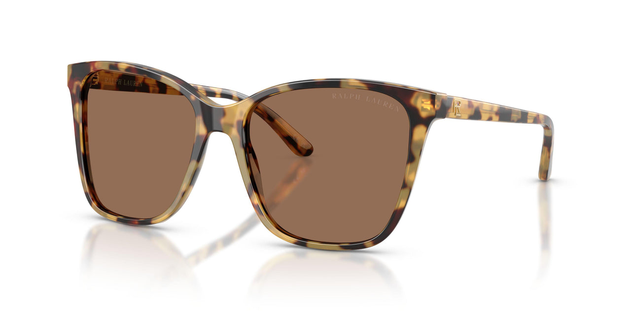 500473 - Brown - Brown