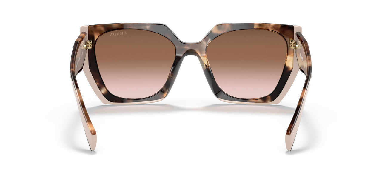 01R0A6 - Havana - Brown Gradient