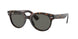 902/B1 - Havana - Dark Grey