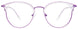 80 - Shiny Purple & Crystal