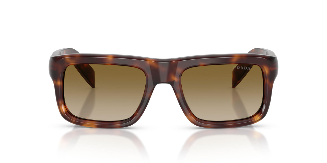 15W20U - Tortoise - Brown Gradient
