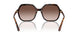 W65613 - Brown - Gradient Brown