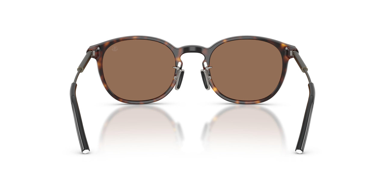 300273 - Tortoise - Brown Solid