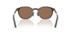 300273 - Tortoise - Brown Solid