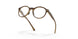 817602 - Brown - Clear