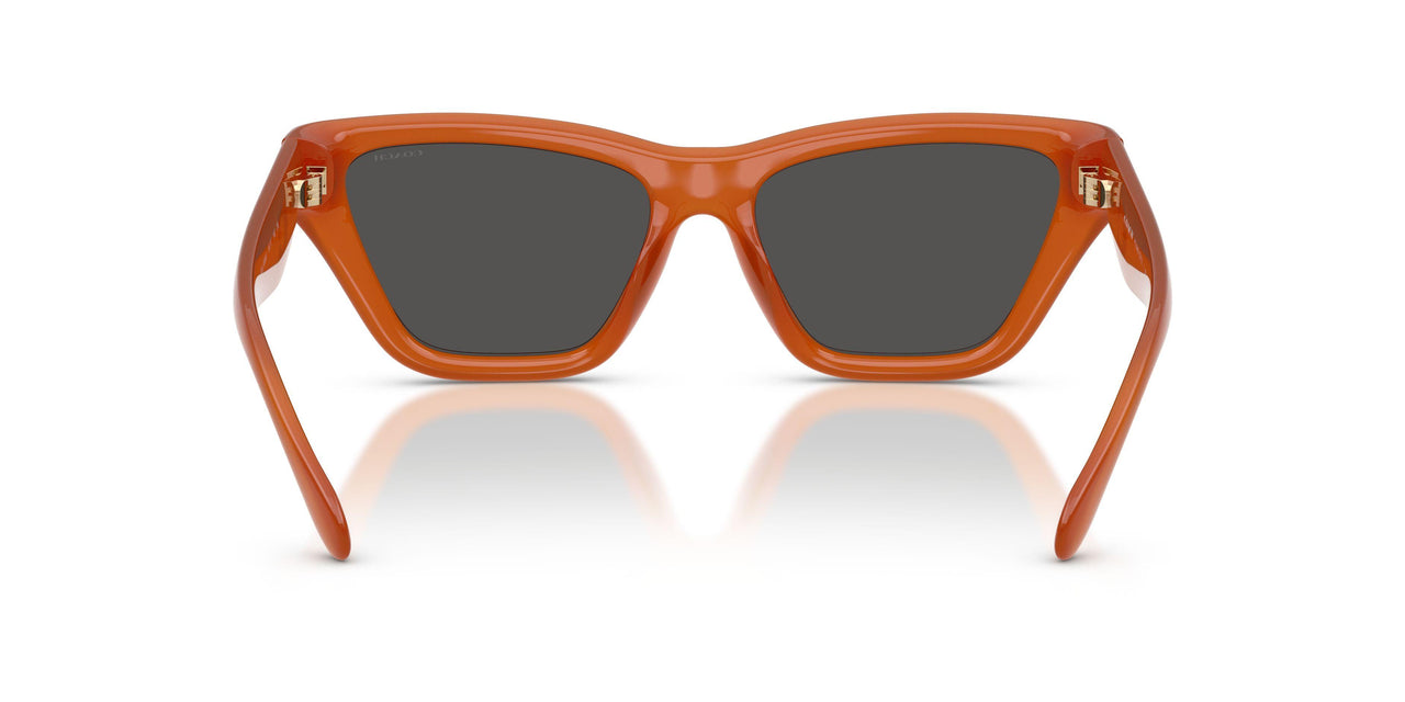 593087 - Orange - Wine Solid