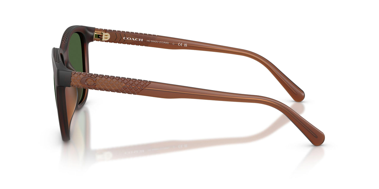 591171 - Brown - Green Solid