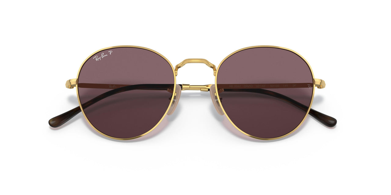 001/AF - Gold - Dark Violet Polar
