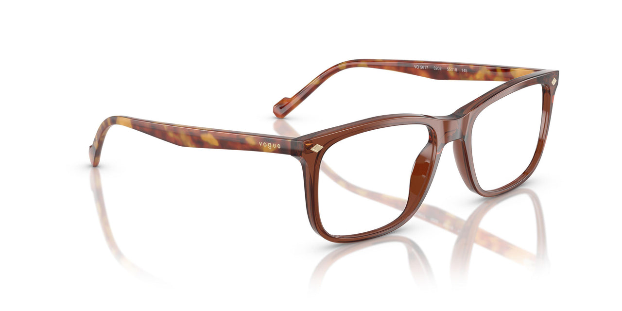 3202 - Brown