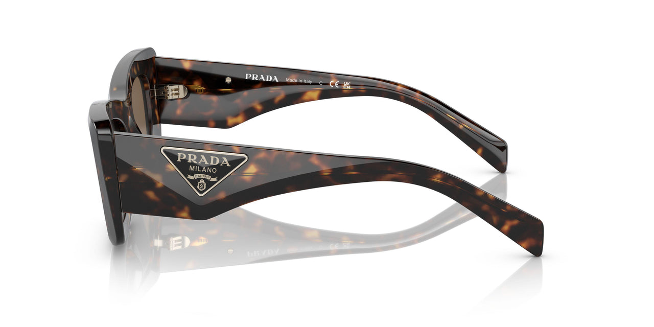 2AU06B - Havana - Dark Brown