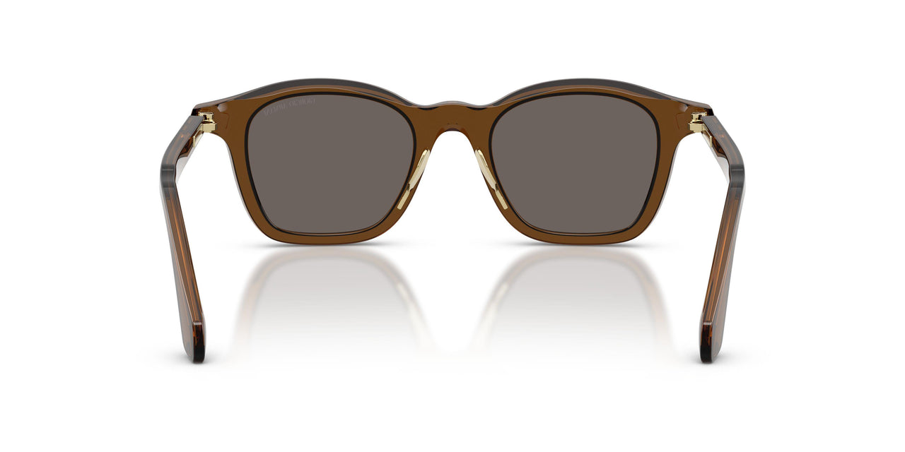 642453 - Brown - Dark Brown