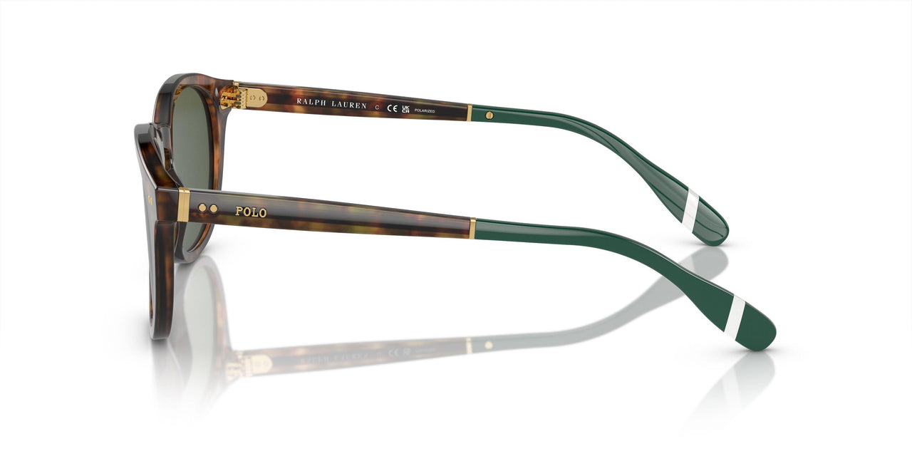 50179A - Tortoise - Bottle Green Polarized
