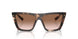 07R0A6 - Tortoise - Brown Gradient