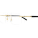 001 - Gold/Black - Transparent